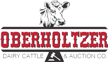 Oberholtzer Dairy Cattle & Auction Co.